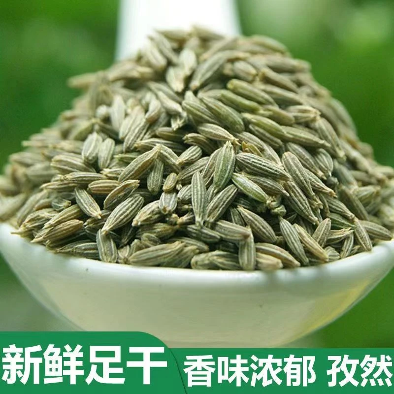 九味纯正宗新疆孜然颗粒家用无添加可打粉香料卤料调料大全商用