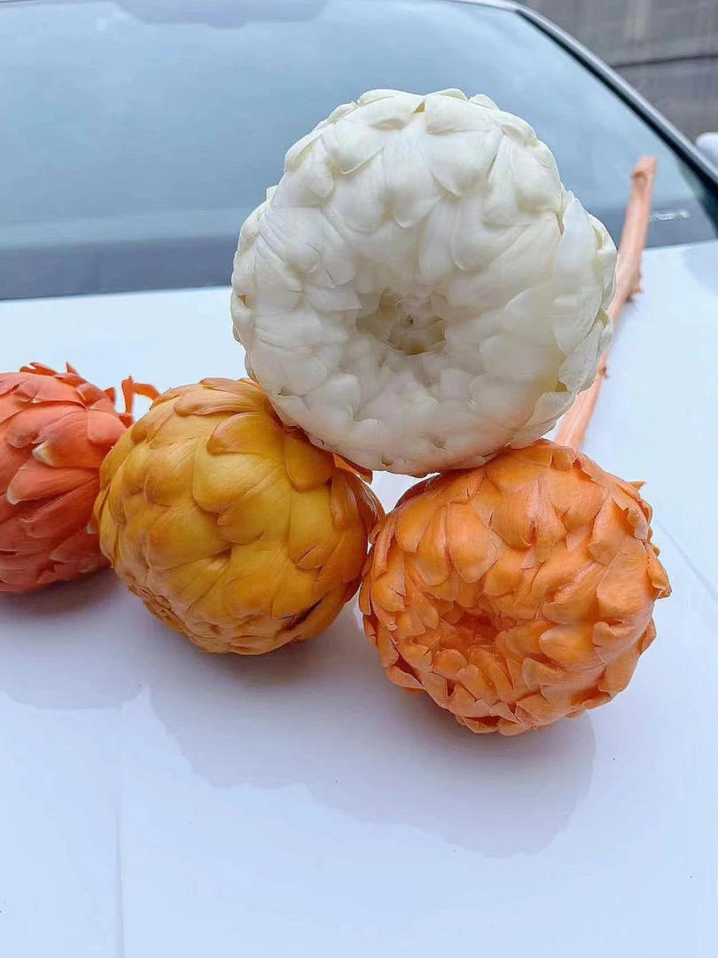 洋蓟（永生花）工厂直发