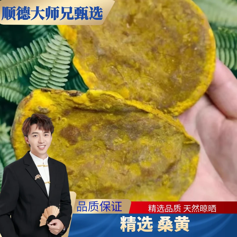 桑黄菇片 250克/500克