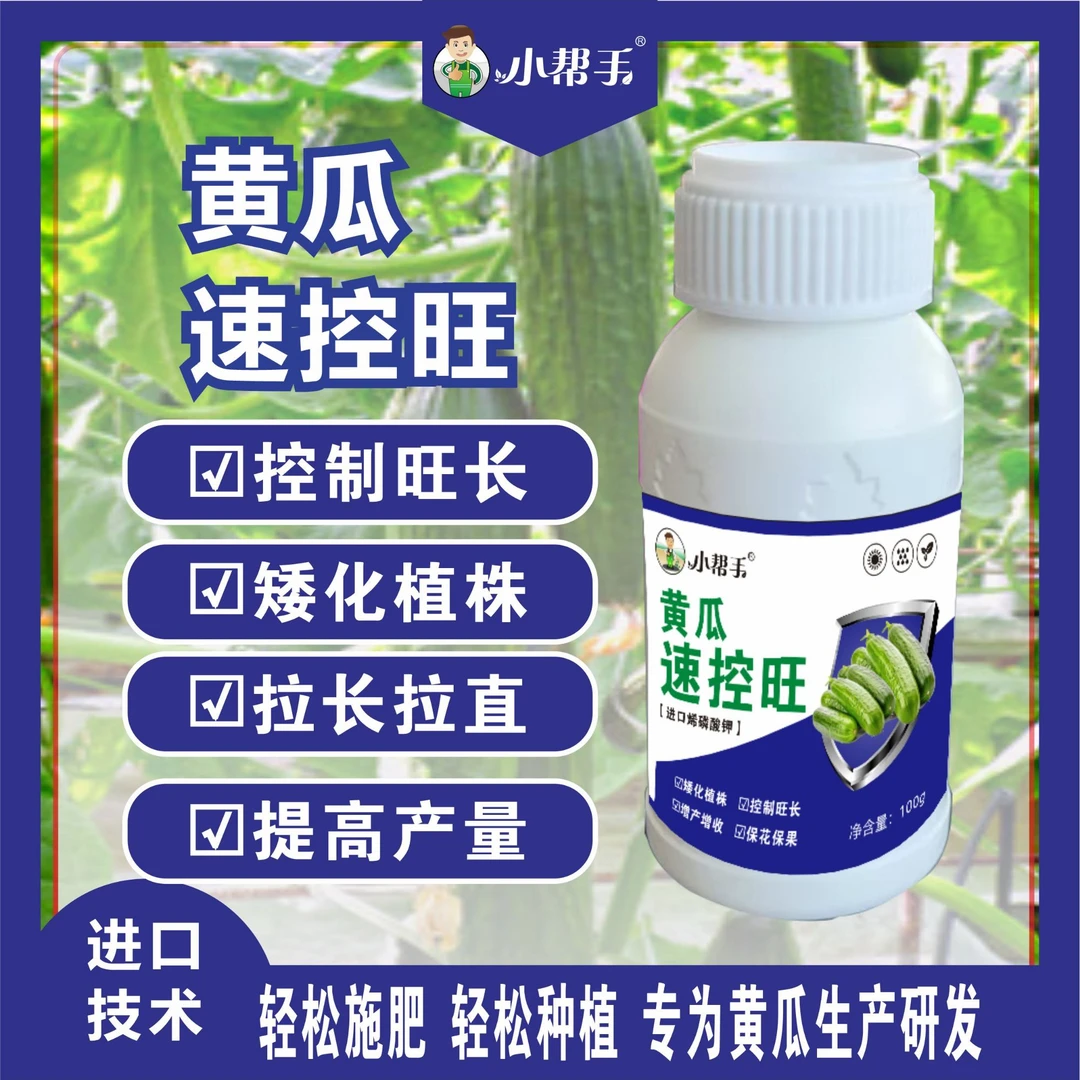 黄瓜专用控旺药促根壮苗控制旺长矮化植株增产高产矮壮素叶面肥料