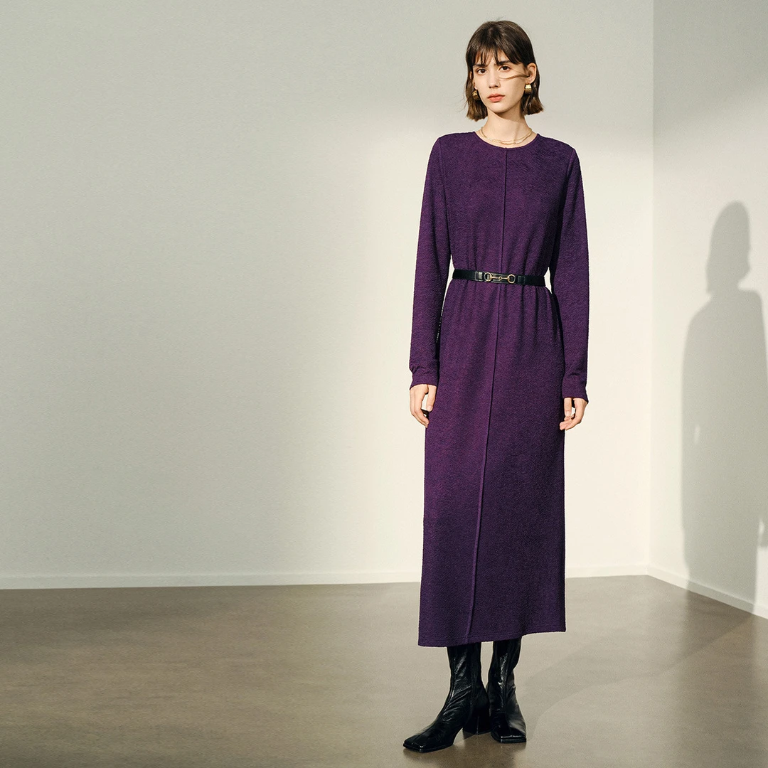 颜域连衣裙女2025秋冬装气质收腰显瘦长袖中长款裙子20W240310