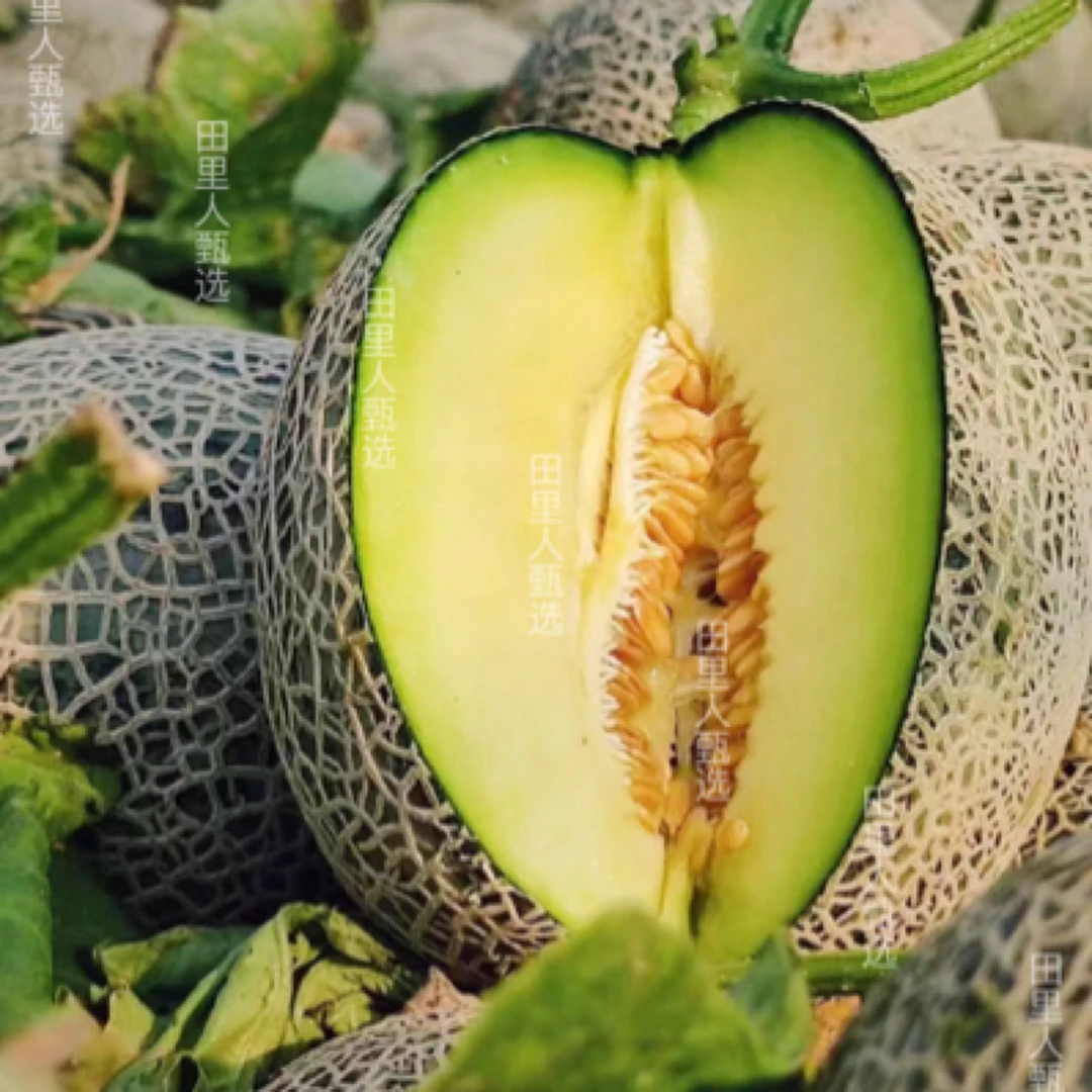 海南网纹瓜蜜瓜新鲜水果冰淇淋蜜瓜高端水果分装2个4.5斤左右