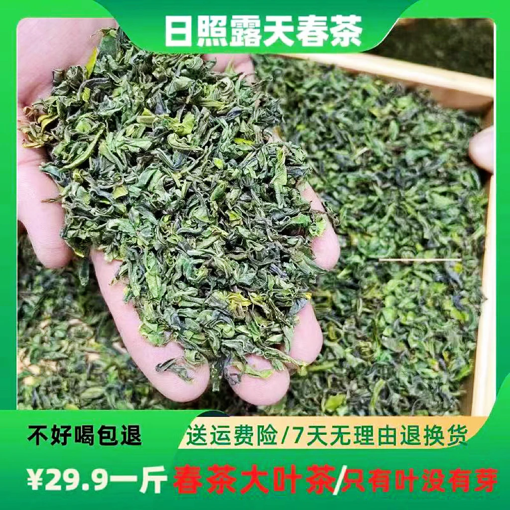【春茶大叶茶】日照绿茶新茶大叶茶500g栗香豆鲜清香精品醇厚品质
