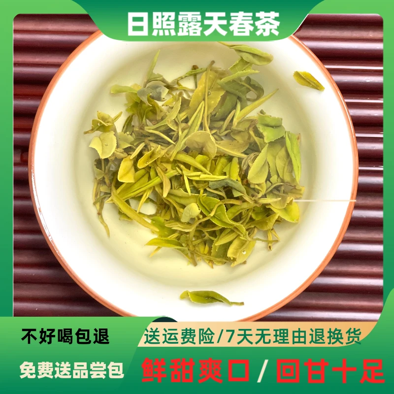 【头采精品】日照绿茶2024年露天春茶栗香豆鲜一芽一两叶500克袋装