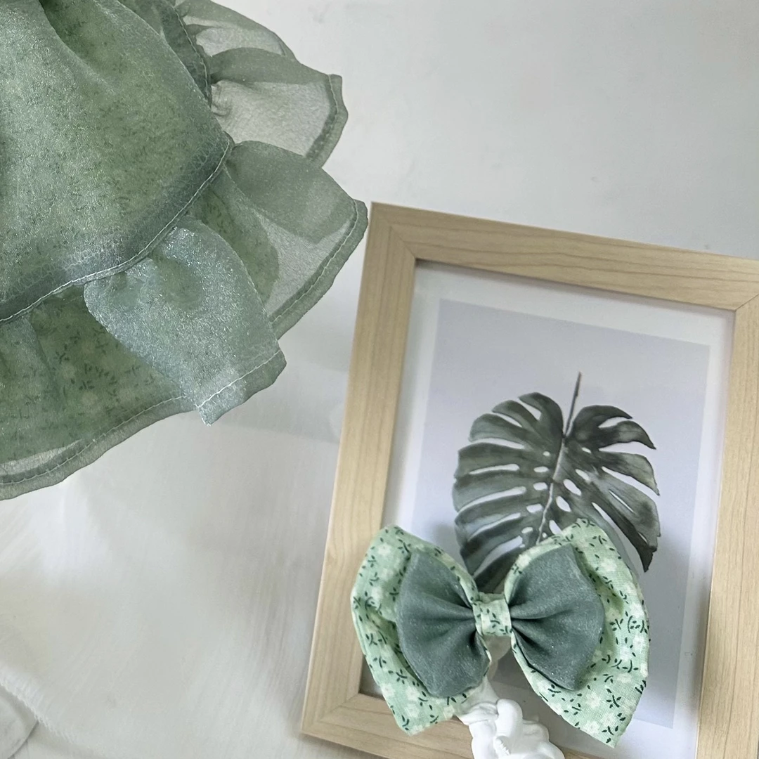 宠衣配饰和宠衣定制差价