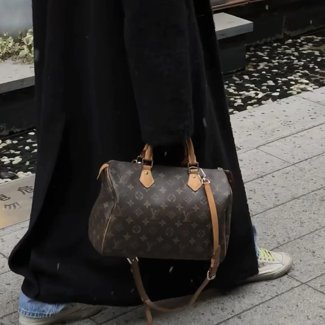95新 LouisVuitton/路易威登 NS/SP30手提包/2047
