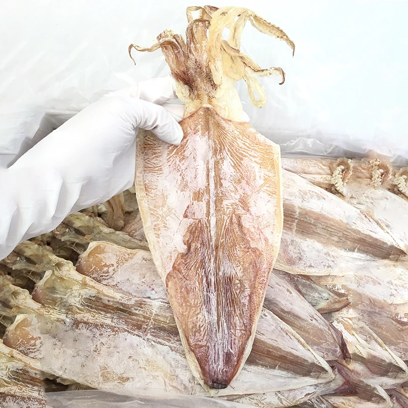 鱿鱼干烧烤专用北海手撕鱿鱼淡干碳烤大小尤鱼干货商用芥末鱿鱼干