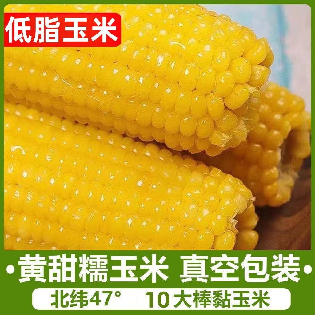 【试吃五根】2025年东北头茬黄糯玉米独立真空包装260g
