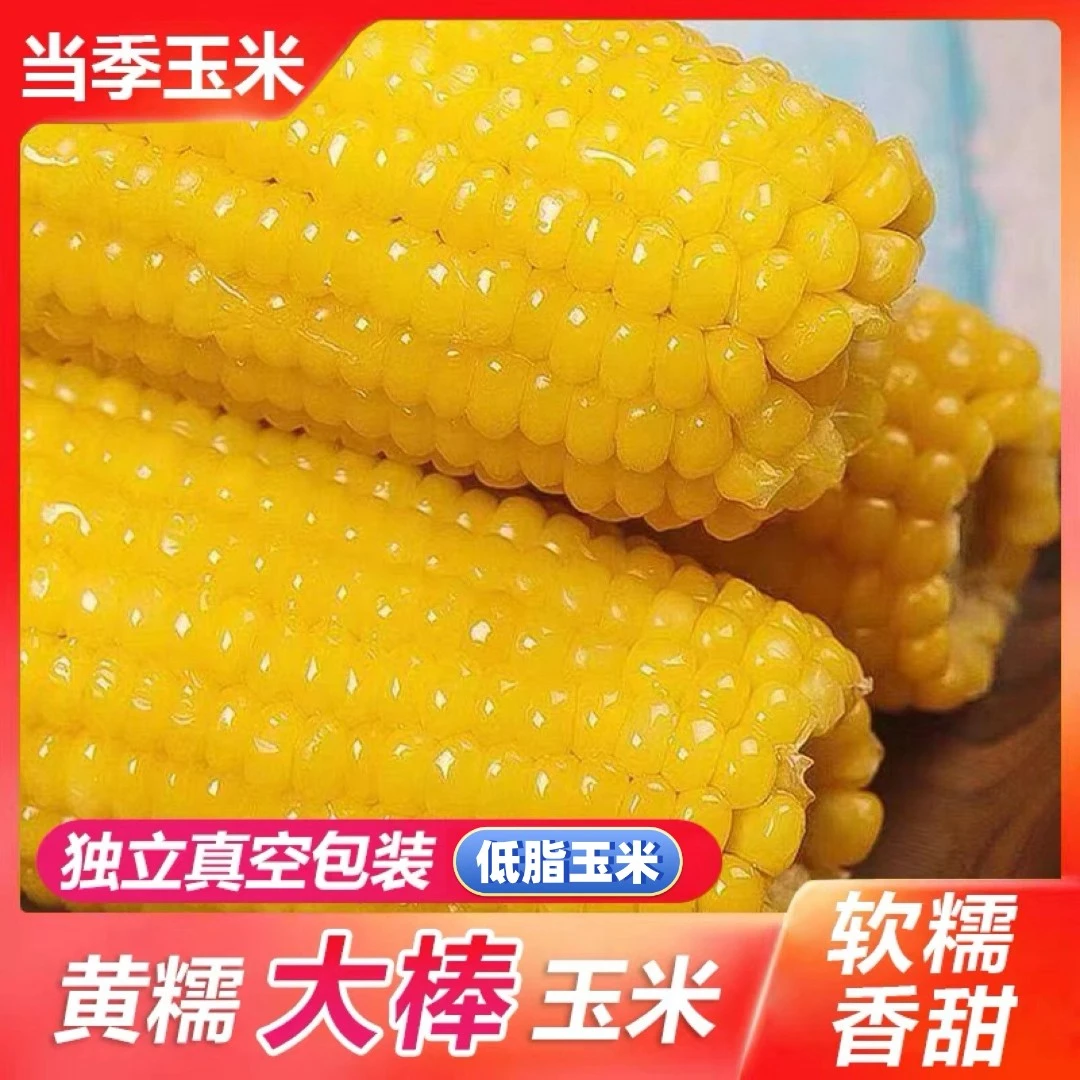 东北黄糯玉米真空新鲜甜粘玉米低脂代餐主食棒子整箱220g*8