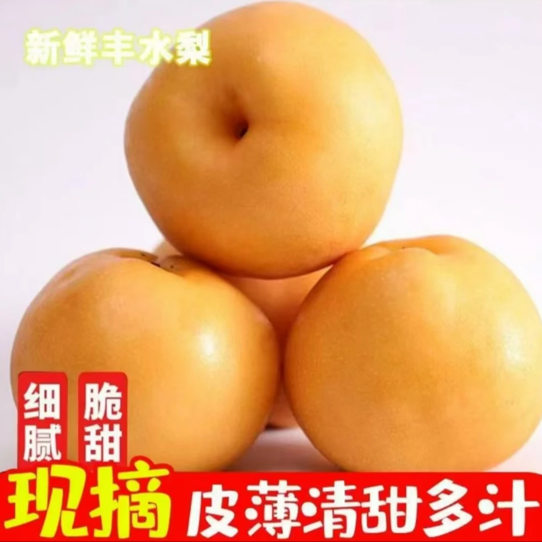 【砀山秋月梨】黄皮蜜梨脆甜无渣汁水新鲜水果梨砀山脆甜多汁正宗