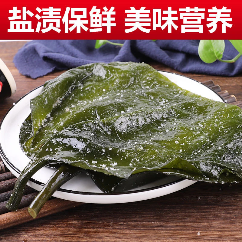 【冬季热卖】特厚海带头超厚海带根天然霞浦特产新鲜盐渍海带500g