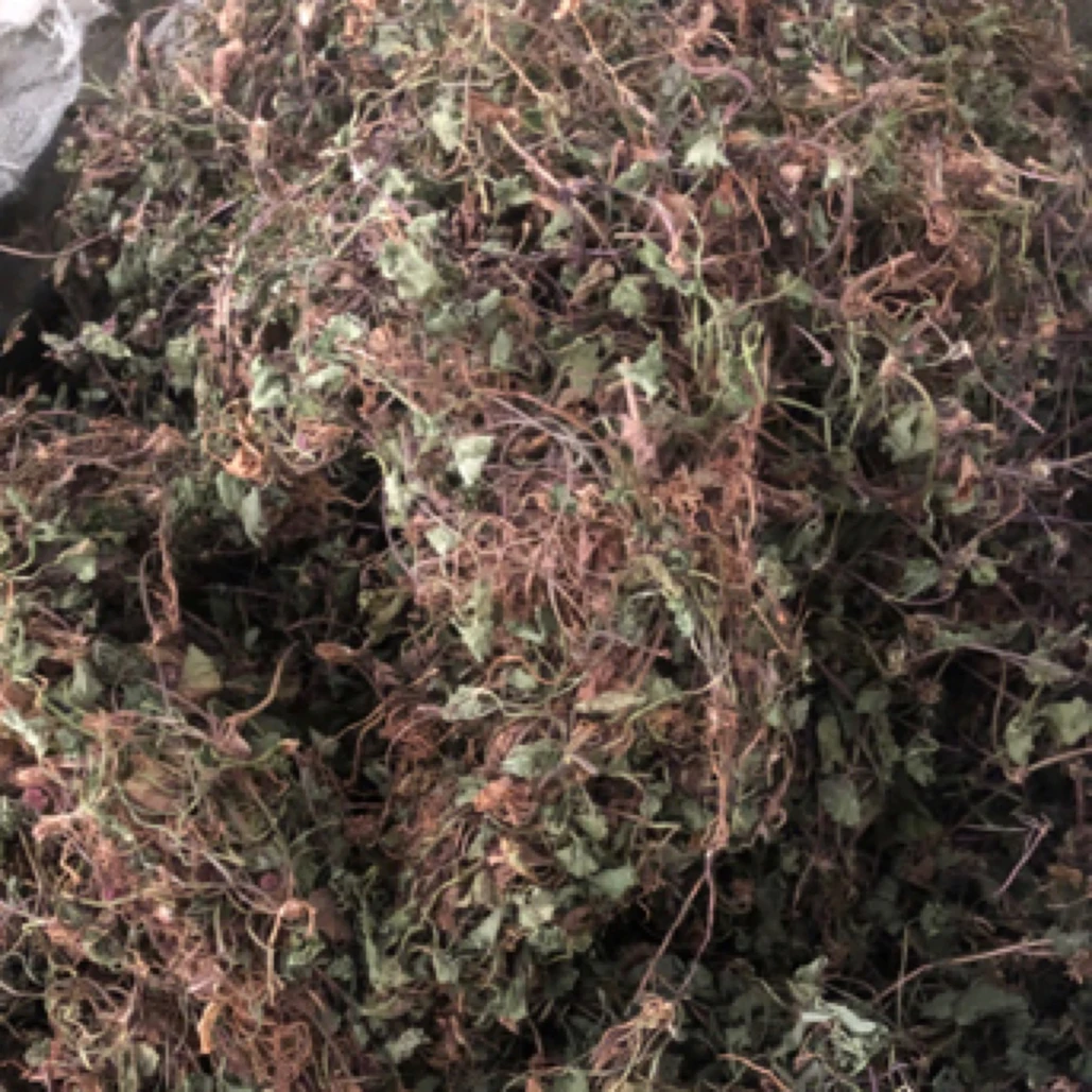 广西野生雷公根新鲜晒干崩大碗积雪草干货煮水凉茶叶菜250g1000g