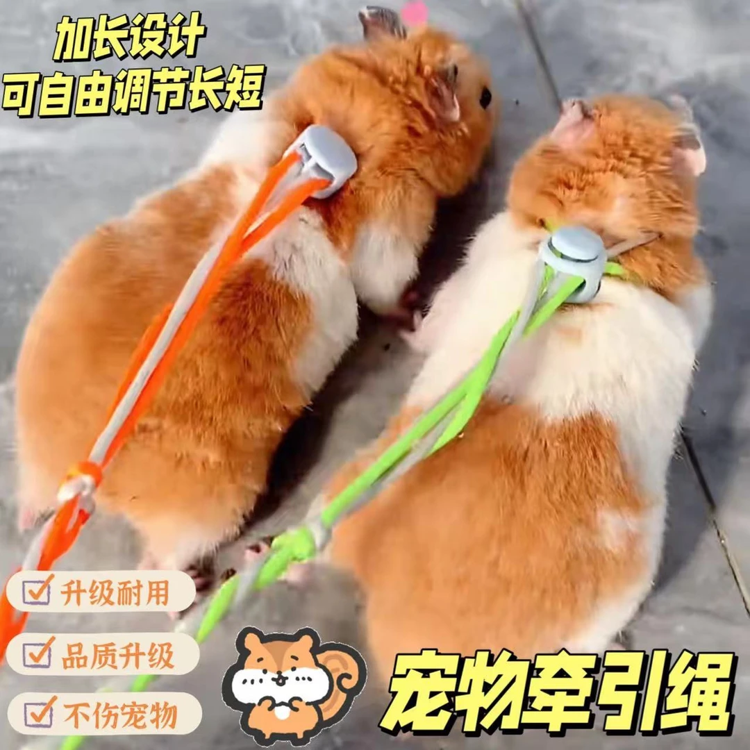加长伸缩背带式绳子仓鼠牵引绳溜鼠绳溜兔子绳鸭子荷兰猪小宠物品
