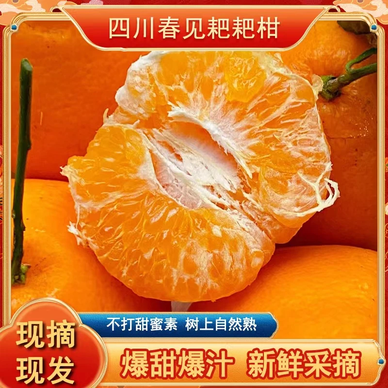 顺丰包邮四川耙耙柑精品果商超专贡新鲜采摘产地发货自然成熟