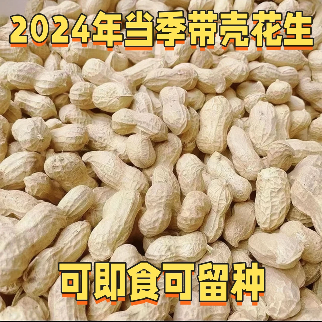 2024年新鲜带壳干花生河南农家自然晾晒净重可吃可种营养大颗粒
