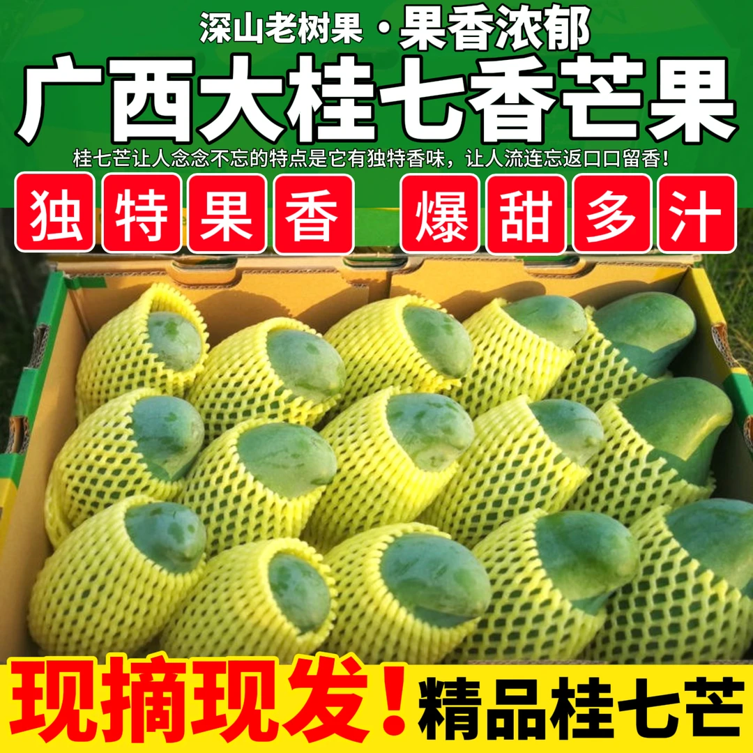 正宗百色田东桂七 老树果 5斤 10斤 香甜多汁 现摘先发 爆甜