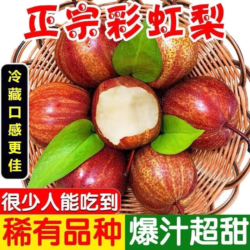陕西彩虹梨新鲜酥梨水果脆甜红皮鲜果梨子4.5斤