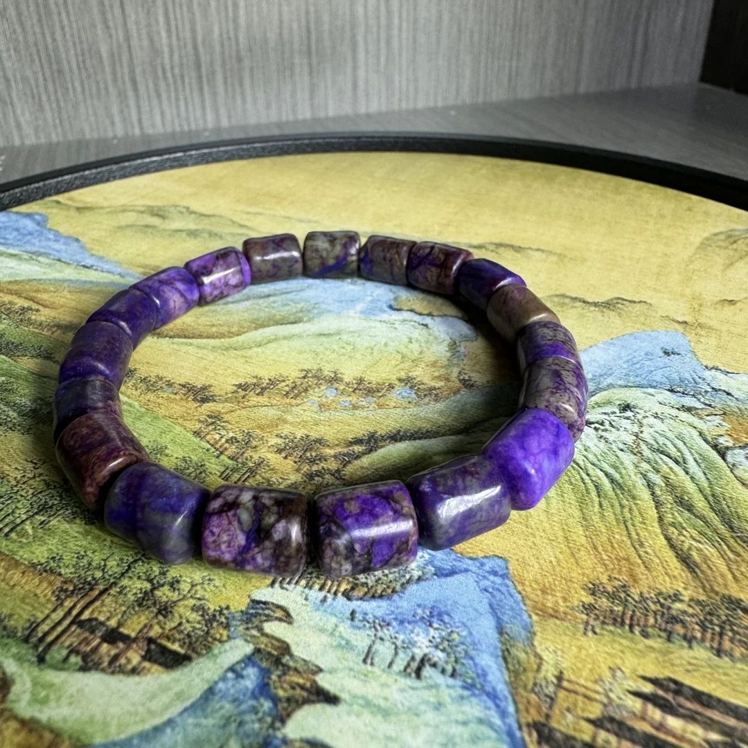 珍藏款 舒俱来手链005多样性发其一