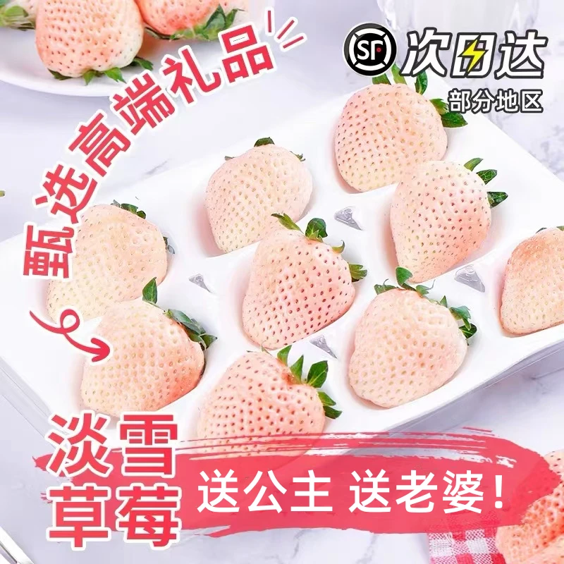 【顺丰空运】淡雪天使白草莓新鲜采摘饱满甄选稀有梦之莹草莓水果