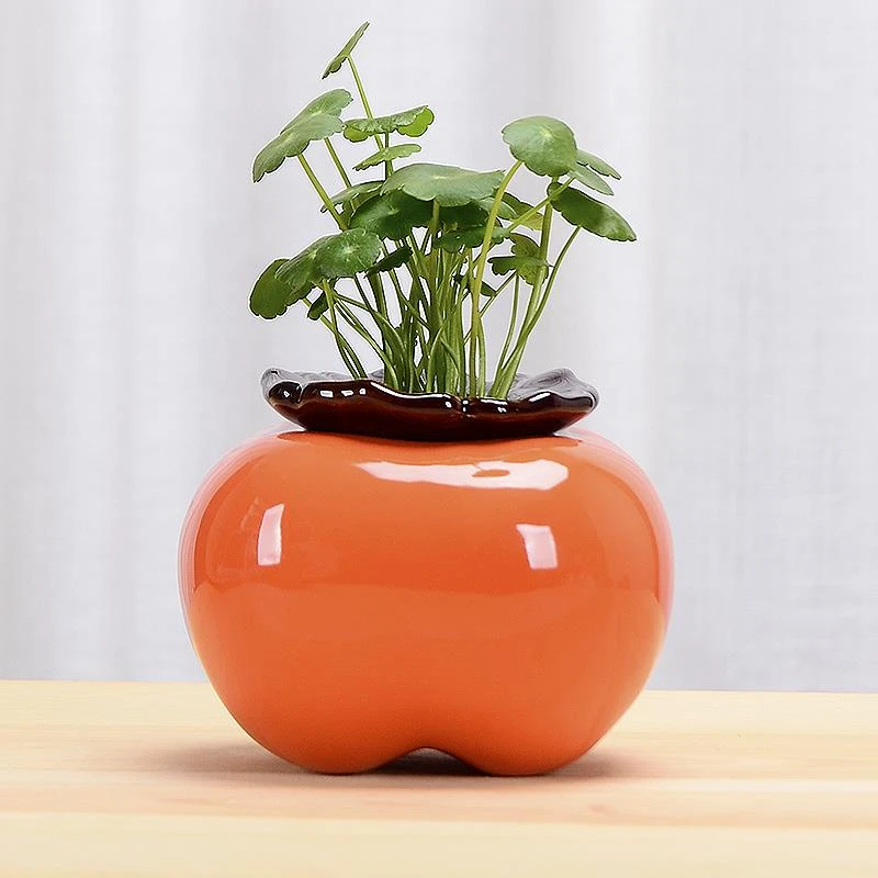创意柿子花瓶陶瓷水养绿萝水培花盆花器客厅桌面办公桌装饰品摆件