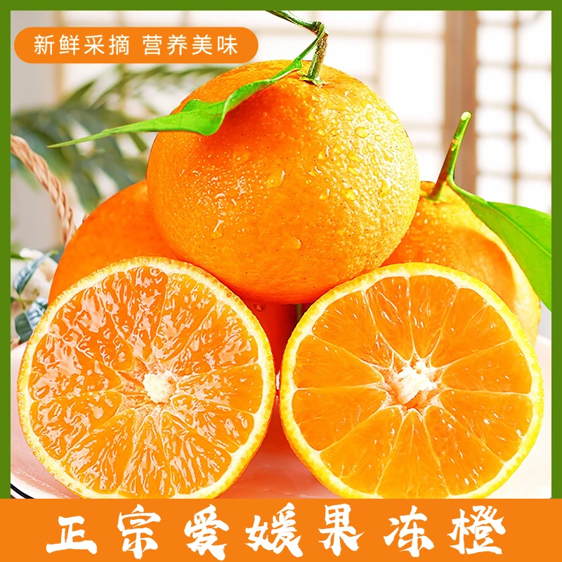 正宗四川爱媛果冻橙酸甜多汁果肉细腻饱满营养又美味中/大/特大果