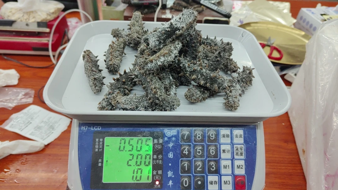 半干海参尾单专用链接 青岛发货