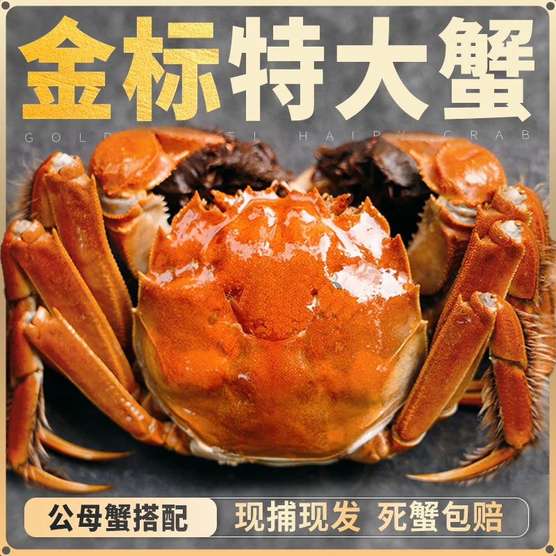 【Z活蟹现发】江苏正宗金标湖养大闸蟹母4.1-3.8两+公5.1-4.8两8只