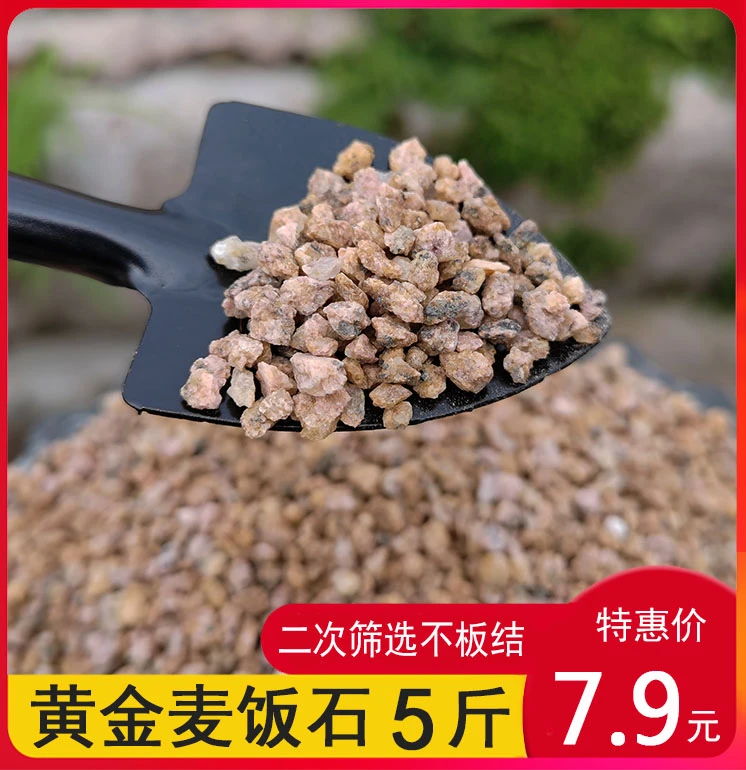 黄金软麦饭石多肉颗粒多肉种植通用铺面石拌土专用盆栽绿植营养土