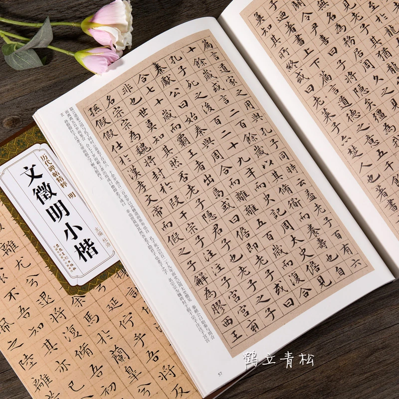 明文徵明小楷 历代碑帖精粹简体旁注文征明小楷字帖全集