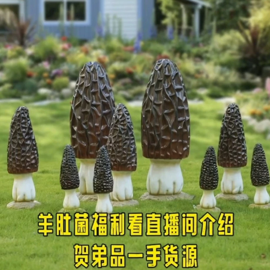 半斤【多价格链接】羊肚菌福利款看直播间介绍