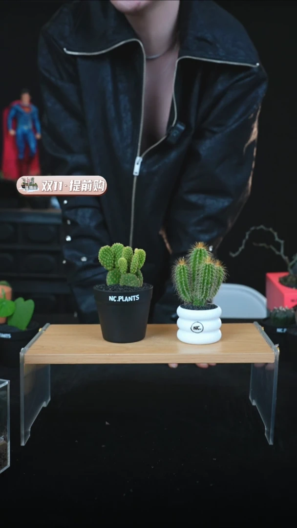 【闪购商品】耳朵+凤龙