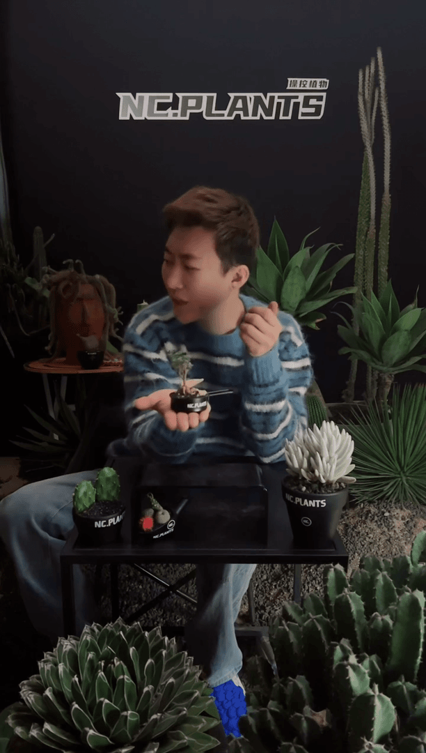 【闪购商品】小小松