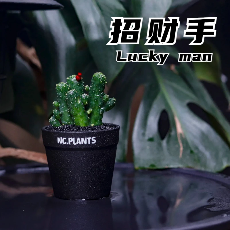 【NC.PLANTS 招财手】新品浮力 | 带盆成品