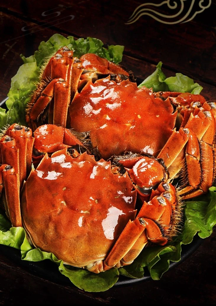 【鲜活生猛】江苏大闸蟹2.3-2.6两 5只母蟹