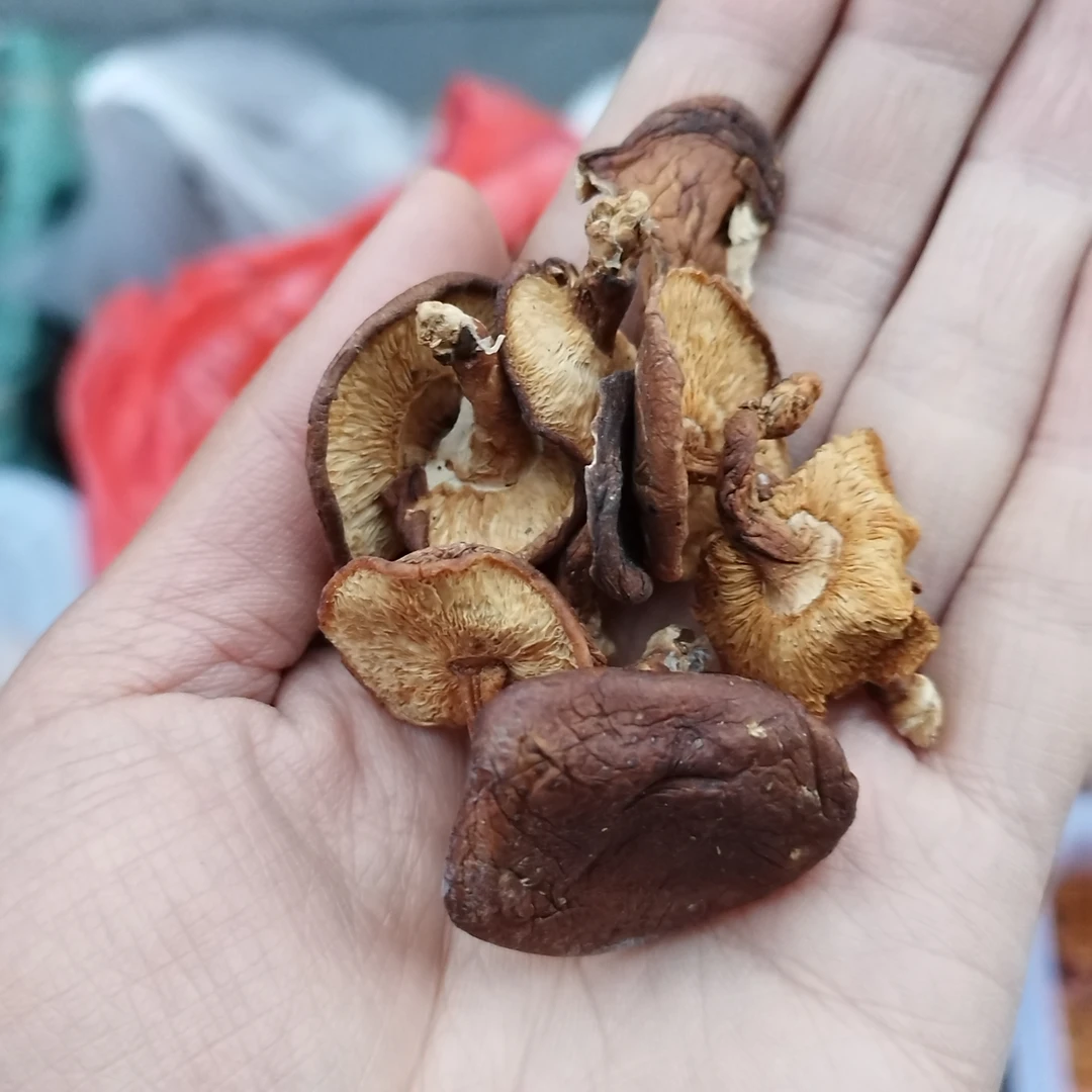 云蕾土特产【香菇】云南山货
