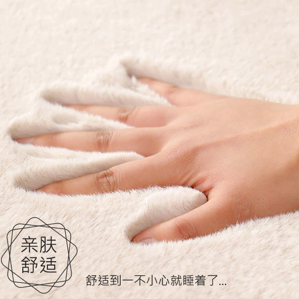 北欧风毛绒地毯客厅地垫大面积房间卧室少女耐脏日系床边加厚