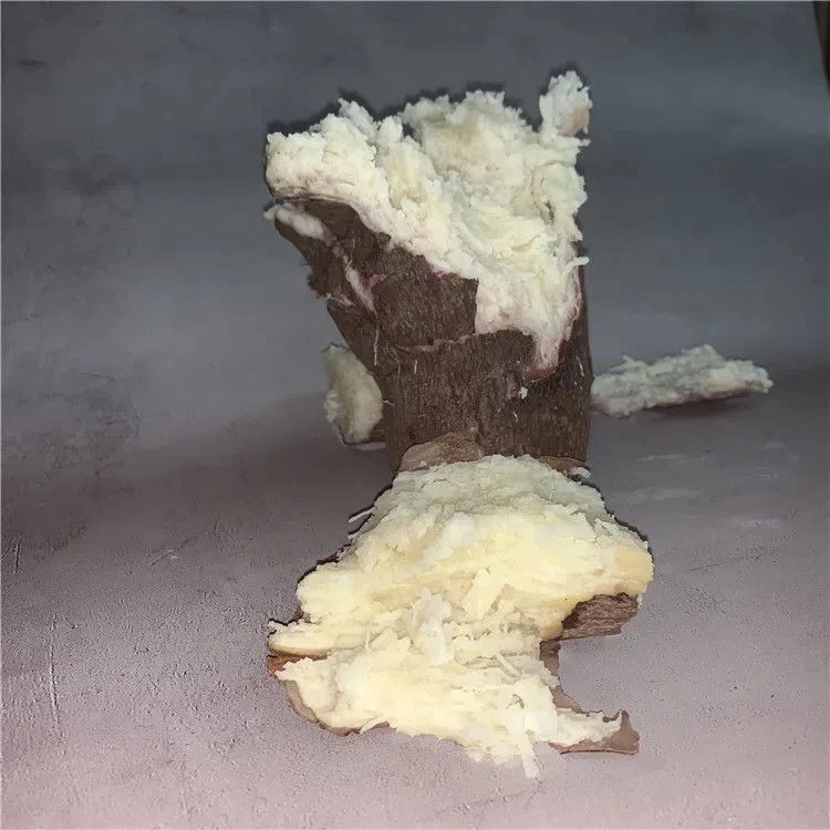 廉江特产白肉大薯 农家自产自销紫皮白肉粉糯八月白山药现挖现发