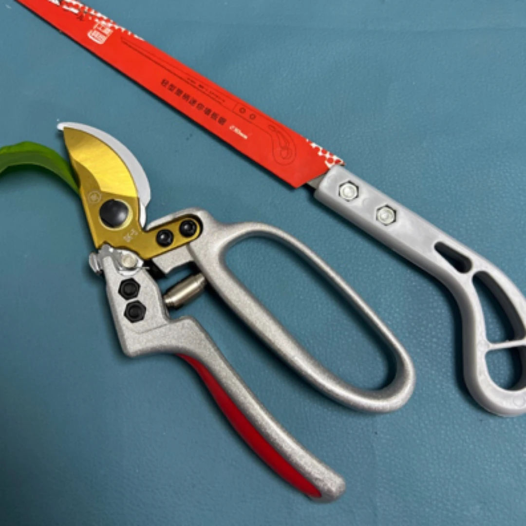 钛钢枝剪绿化剪枝条剪树枝剪带小凤尾锯锋利合金钢干湿枝可剪