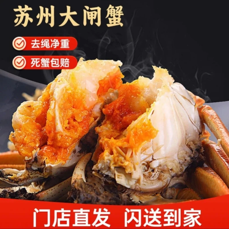 【闭眼拍】 2两+ 母蟹*1只装 正宗苏州精品大闸蟹 现货