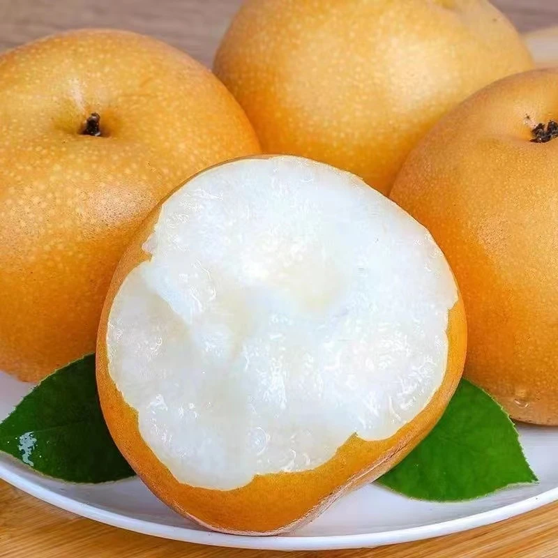 3正宗莱阳南水蜜梨皮薄香甜肉质细腻多汁4.5斤新鲜水果 南水梨