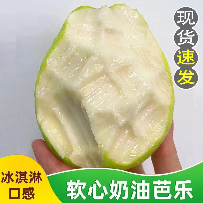 正宗广西软心白心芭乐软糯心奶油新鲜采摘水果番石榴水果低糖孕妇