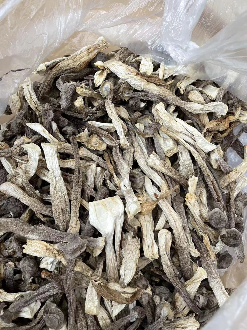 【树子鹿茸菇】农家自产农产品  湖南农产品 农产品现卖