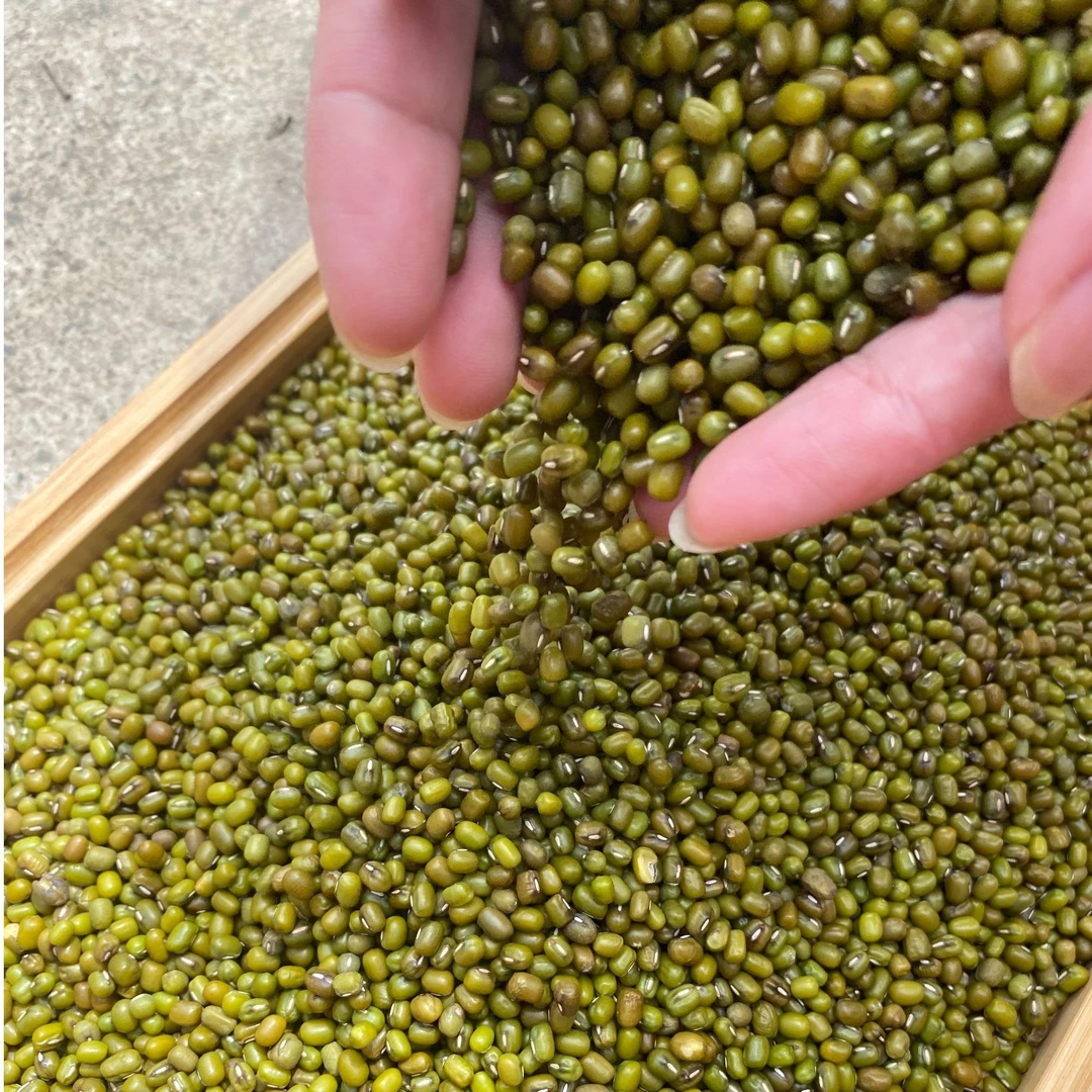 【绿豆】农家自产农产品  农产品 农产品现卖