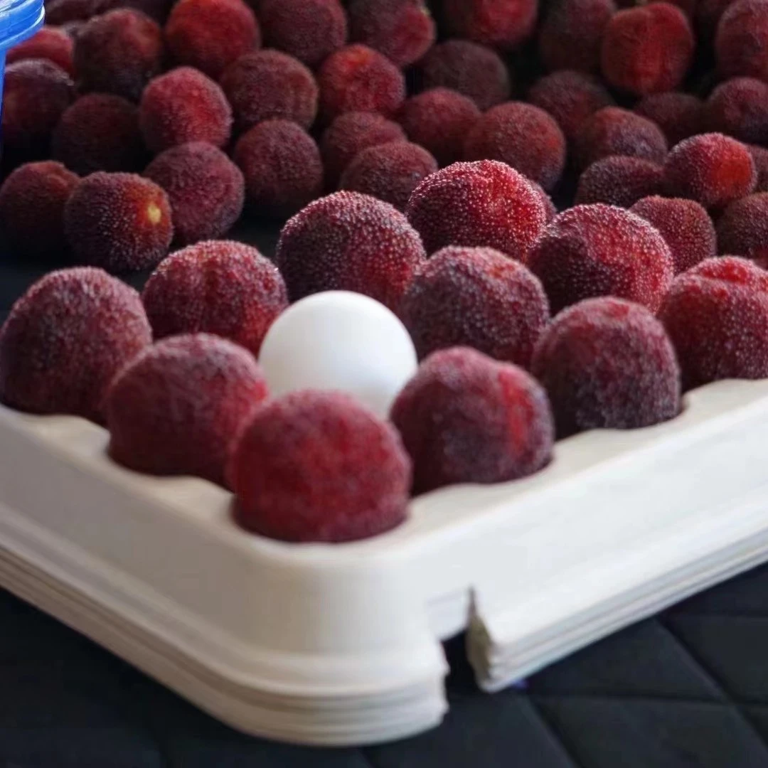 【贡品级仙居东魁杨梅】新鲜采摘顺丰冷链空运坏果必赔