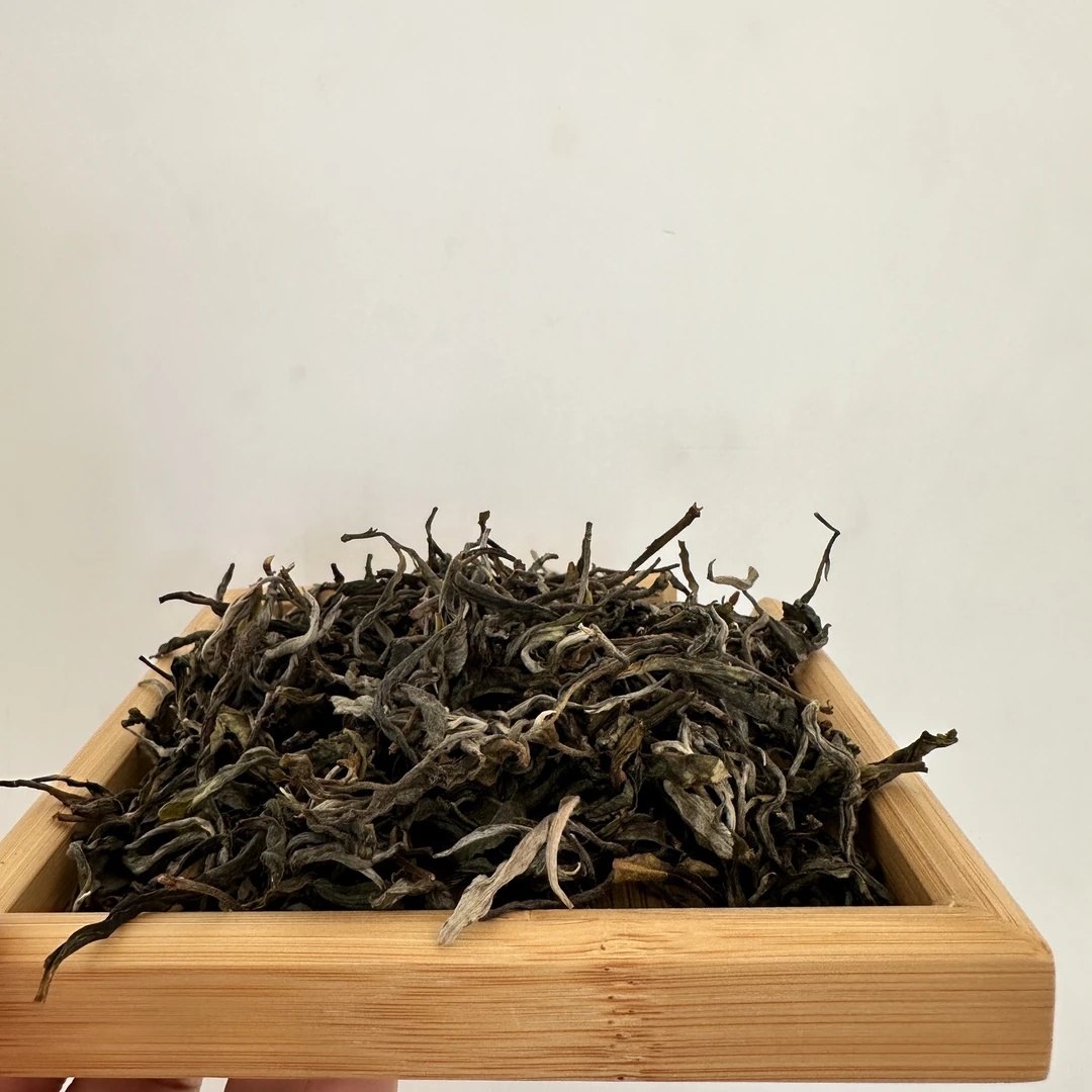 小五茶叶 2024乔木春尾