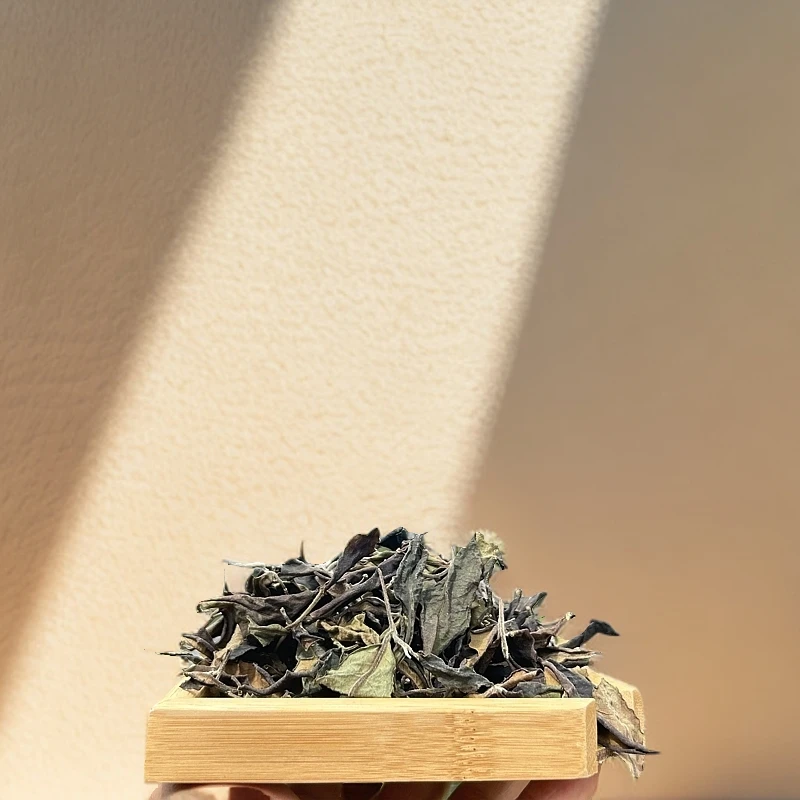 小五茶叶 2023易武头春古树白茶（花香明显，甜度高，内涵物质丰富）