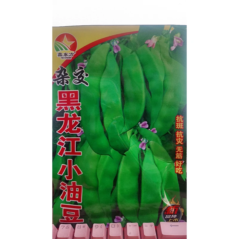 黑龙江小油豆架油豆角种子