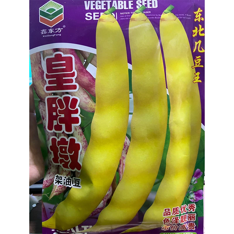 皇胖墩架油豆角种子