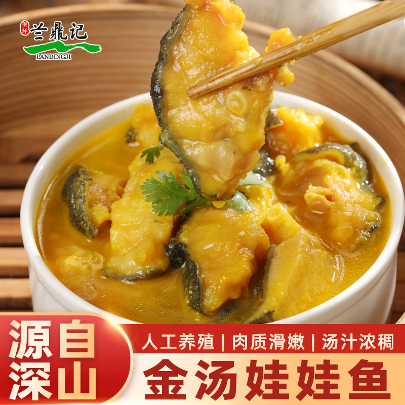 兰鼎记红烧娃娃鱼金汤娃娃鱼藤椒娃娃鱼预制菜大鲵人工养殖娃娃鱼