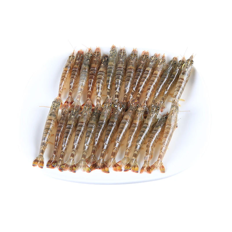 【鲜活充氧】斑节虾(九节虾)200g/份(约16-28只)